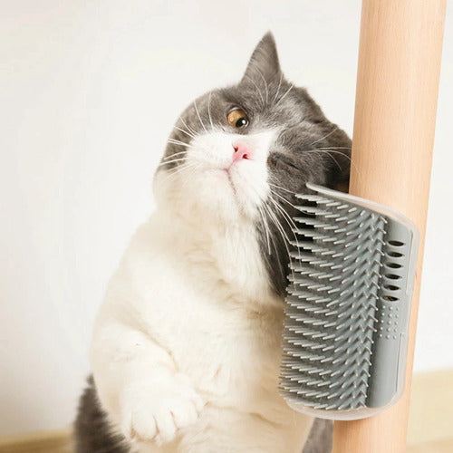 Cat Toys & Scratchers