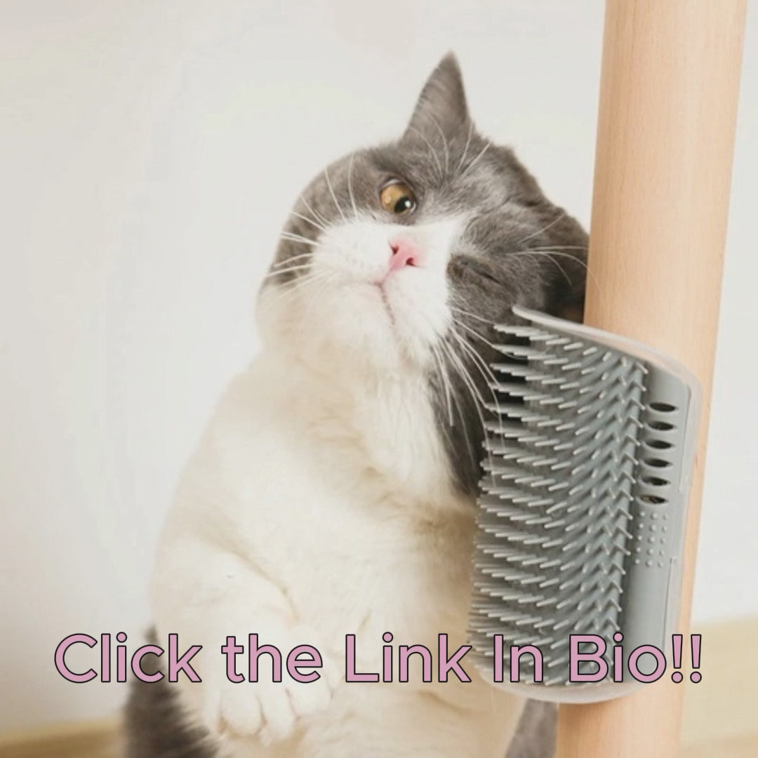 2x Cat Corner Scratcher
